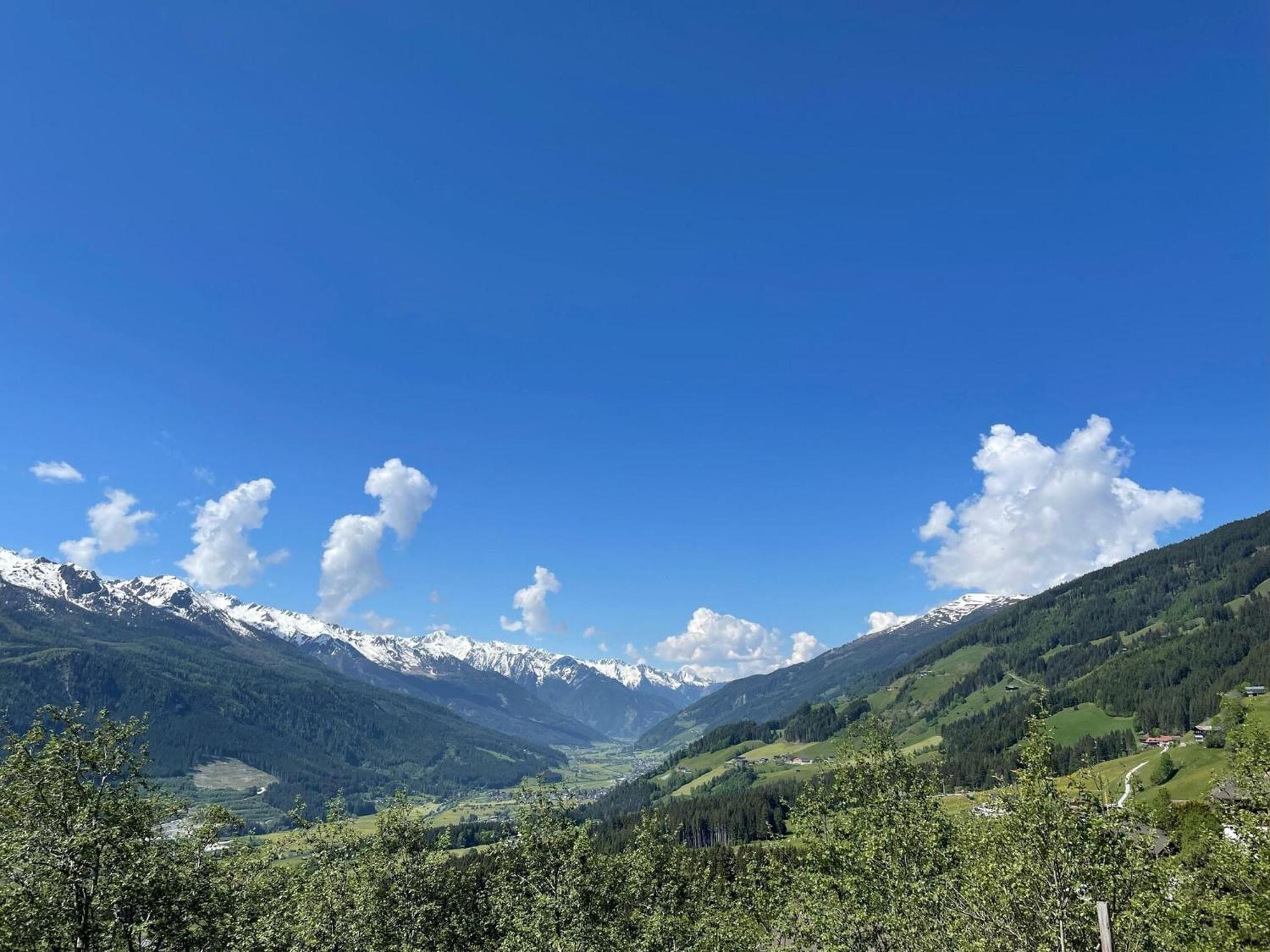 Holiday Flat Motzerngut, 米特西尔 外观 照片